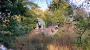 Dinos at crystal palace park