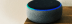 Close up of an Alexa device on a oak table